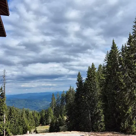 Spacious One-bedroom With Large Panoramic Terrace Lejlighed Pamporovo