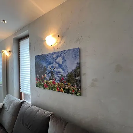 Spacious One-bedroom With Large Panoramic Terrace Apartament *